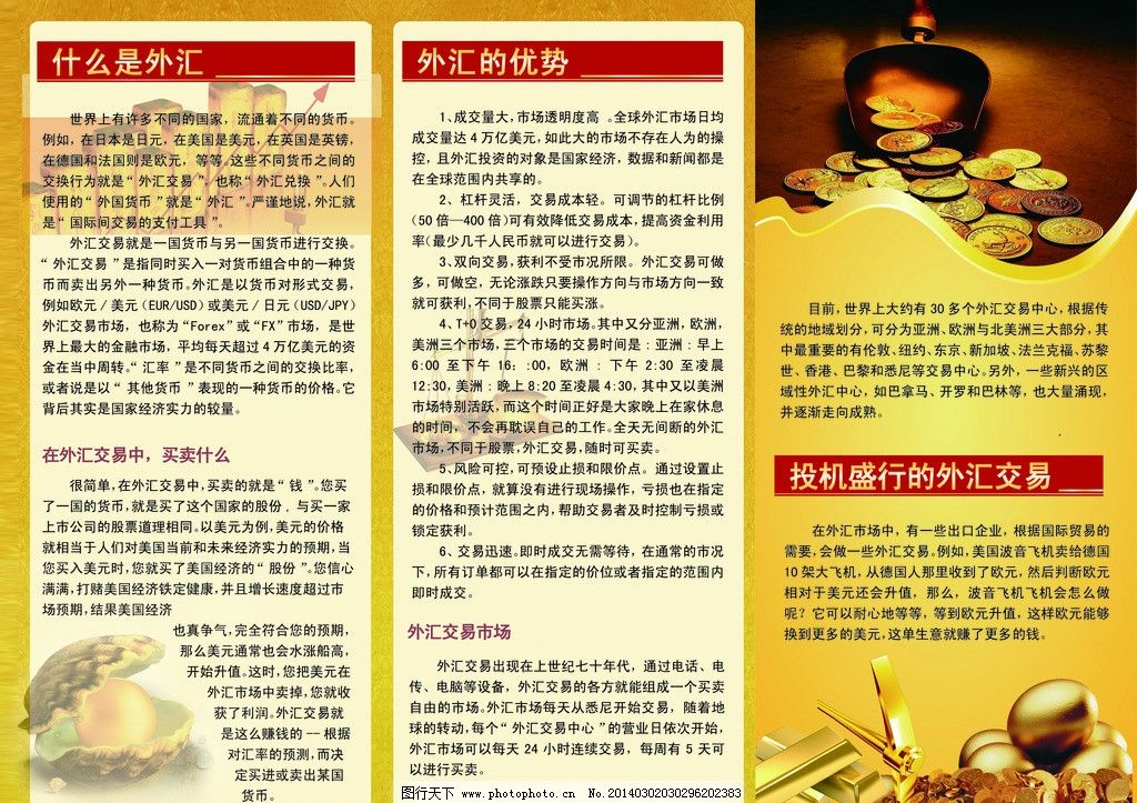 投资咨询彩页 开启财富增长的专业向导